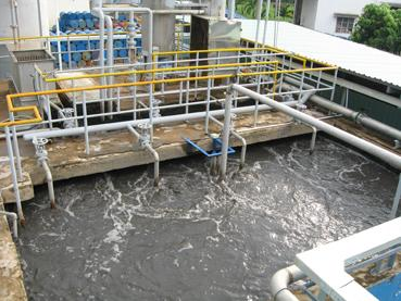 Xử lý nước thải chế biến thực phẩm - Xử Lý Nước Thải Cát Tân - Công Ty TNHH Công Nghệ Cát Tân